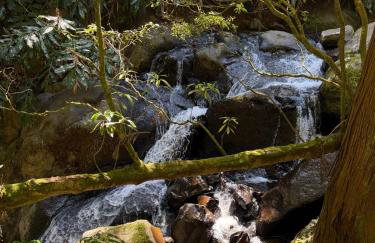 Cantinho da Inês Alojamento Local - Foto 4