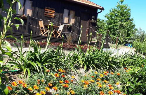 Casinha do Cedro - Foto 6