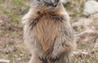 Casa Le Rondini - Photo 70