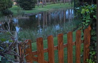 Praia de Mira casa de vacaciones, un paraíso de paz - Foto 1