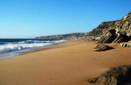 Campo de Oleandros - Foto 35
