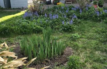 Tiny home - with private shower room in separate outbuilding - Foto 8