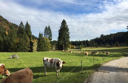 Ferienwohnung Uschi Willibald - Foto 35