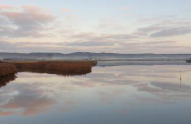 Ferienhaus am Yachthafen - Foto 38