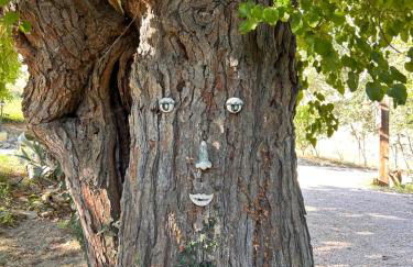 Casale Dal Moro - Foto 6