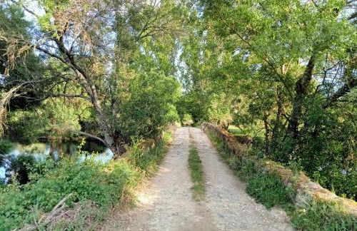 Retiro da cegonha - Foto 36