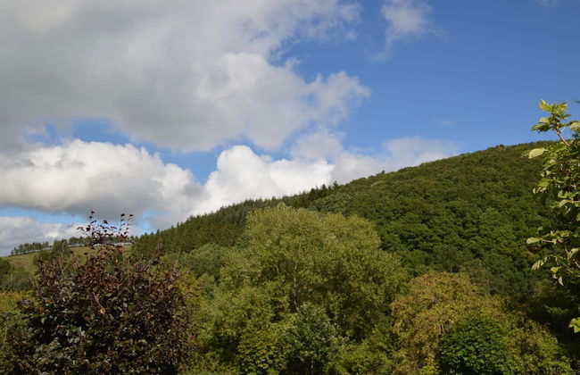 Modern Holiday Home in Eifel With Sauna - Foto 29