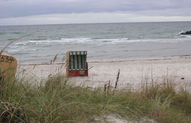 at the Organic Farm Angus-hof - Foto 17