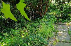 QUIET HOUSE GARDEN NAPLES-POMPEI-SORRENTO - Foto 8