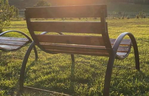 Agriturismo con cucina Il Favaio - Foto 53