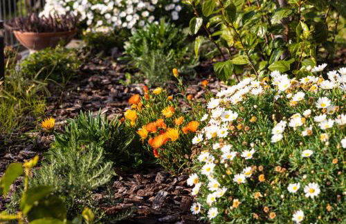 Il Giardino dei Gigli - Foto 26