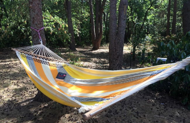 Gierle Garden Bungalow Escape - Foto 19