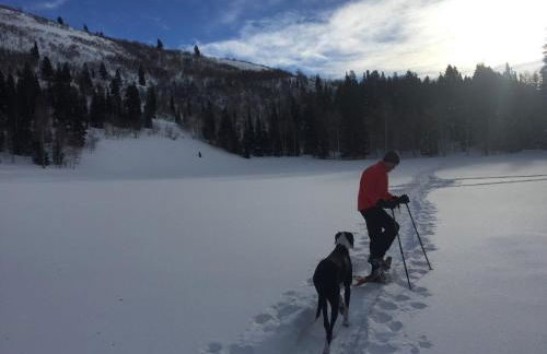 OVER THE RIVER AND THROUGH THE WOODS - Foto 39