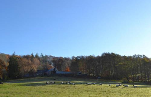 2 Bed in Corwen oc-88598 - Foto 23