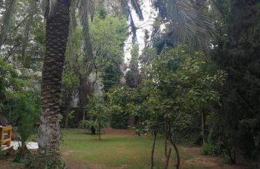 Villa with big garden - Foto 29