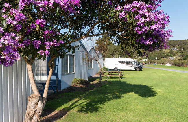 Waitangi Holiday Park - Foto 10