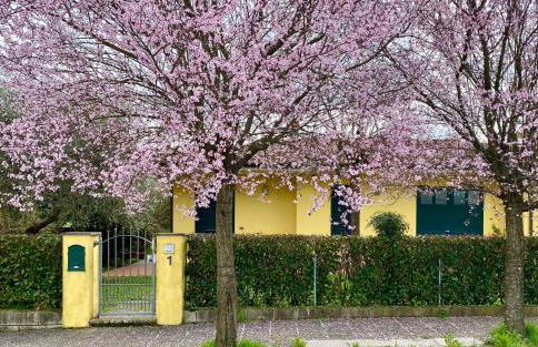 Tenuta Lo Scricciolo - Foto 25