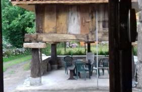 Flor de Pomar - Foto 70