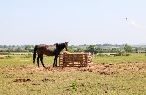 The Workshop - Foto 30