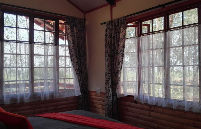 Woodland Gardens - Photo 3