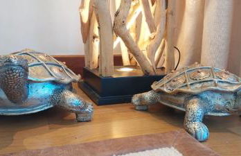 Rafina Splendor - Foto 15