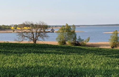 Neuenkirchen Moritzhagen - Photo 57