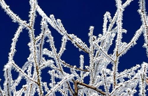 5-Sterne Wohlfühl-Ferienhaus Eifellust - Foto 7