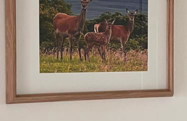 Williamsfield Cottage - Foto 21