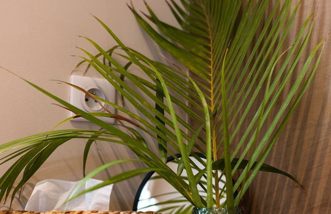 Karibuni Boutique Hotel - Adults Only - Foto 44