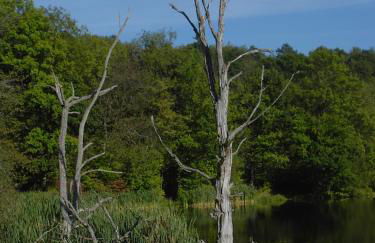 Ferienwohnung Eifelluft - Foto 26