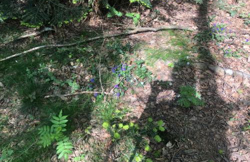 Condrieu et parking voiture vélo 2 ème étage - Foto 21