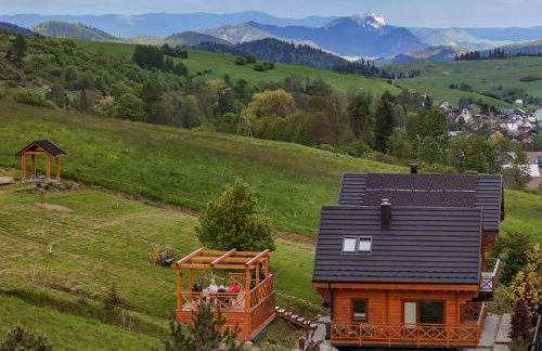 Houten Villa "ReisnaarPolen" Royaal ontbijt tevens Gluten Lactose vrij, Vega en diner mogelijk, sauna en Hottub - Foto 71