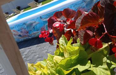 Całoroczny Ośrodek Wypoczynkowy COMFORT HOUSE - Foto 22