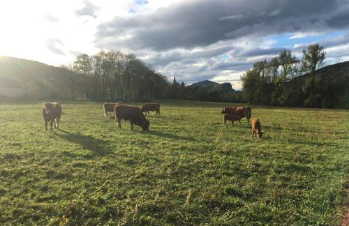 Appartement spacieux 2 chambres au cœur du village - Foto 19