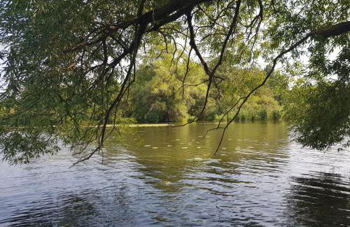 Ferienwohnung Havelblick - Foto 14