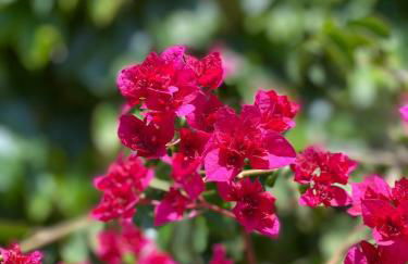 Casa felix - Foto 29