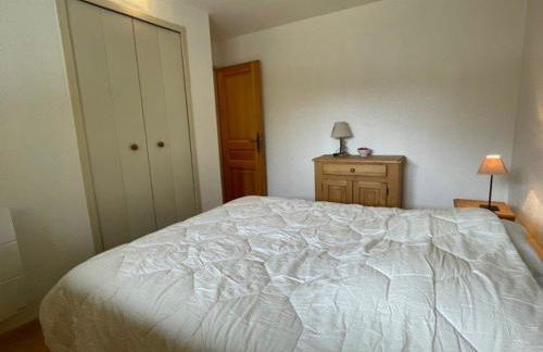 Spacieux 4 pièces avec parking et vue imprenable à Praz-sur-Arly - FR-1-603-40 - Foto 9