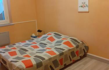 L'oiseau bleu - Foto 58