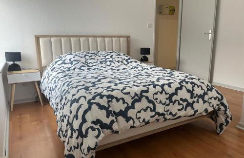 Appartement T3 Duplex centre ville - Foto 5