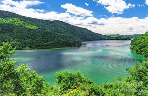 Jackson River Estate Cozy Cottage on the River - Foto 9