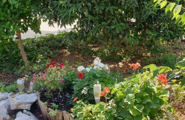 Apartments in Pirovac 34905 - Photo 18