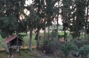 Afroditi Country Residence - Photo 21