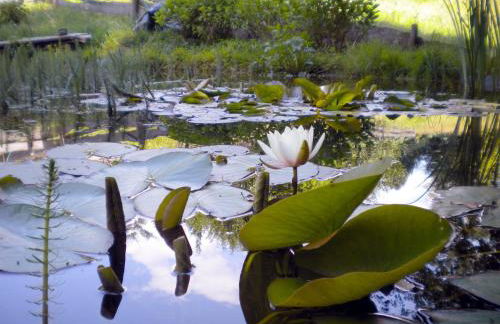 Studio Luise - Foto 20