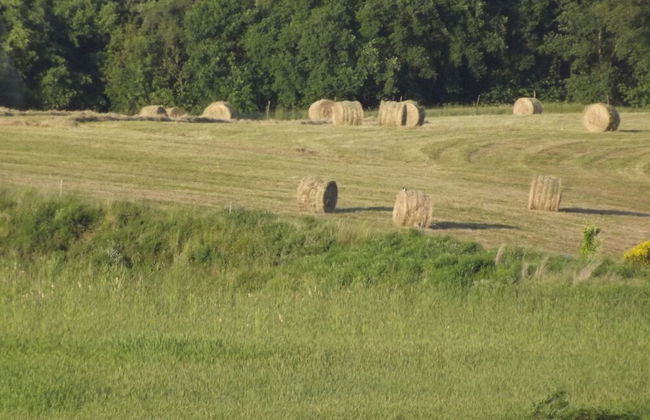 Tenuta i Lecci di Gurian Roberta Maura - Photo 92