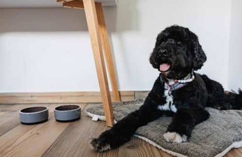 Briwöhnchen stilvoll liebevoll gemütlich - Foto 10