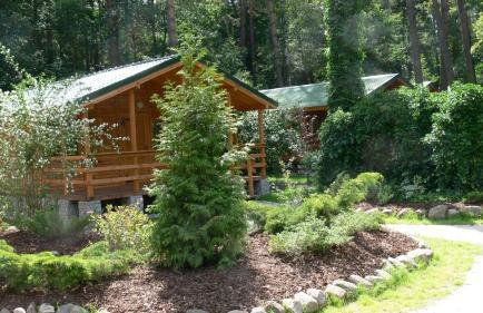 Ośrodek Wypoczynkowy "Puszczyk" Wolnostojące Domki z Bali - Foto 22