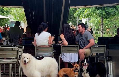 Downtown Cary 1930s Bungalow - Great walkability - Foto 34