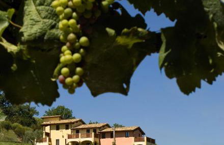 Borgo Le Capannelle - Foto 38