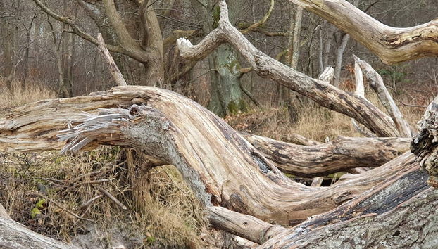 8 Person Holiday Home in Asnaes-by Traum - Photo 5