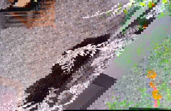 Ubud Paradise Villa - Photo 46